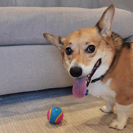 SPOT Sensory Ball for Soft Chewers - Stimulates All 5 Senses, Bell & Squeaker Sounds, Raised Nubs Clean Teeth, High Contrast Fetch Toy, Beef Scented, Durable TPR Rubber Ball, 2.5-inch