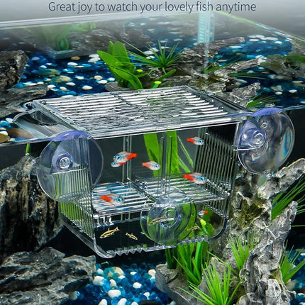 Pawfly Aquarium Breeding Box, Acrylic Fish Isolation Box with 6 Suction Cups, Aquarium Acclimation Hatchery Incubator for Baby Shrimp Betta Aggressive Fish Guppy (Small)