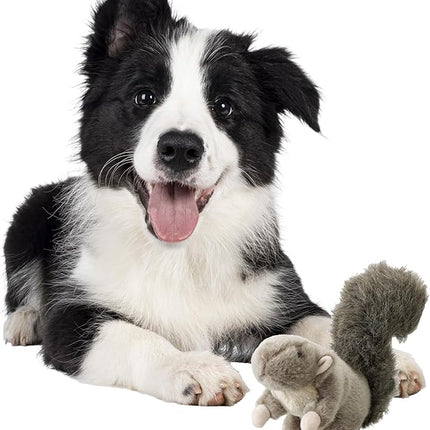 SPOT Woodland Collection Squirrel Dog Toy with Squeaker, Plush Grunting Tug Toy, Interactive Play for All Dog Breeds, 10"