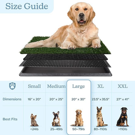 Artificial Grass Puppy Pee Pad for Dogs and Small Pets - 20x30 Inch, Reusable 4-Layer Turf Pads for Dogs with Tray - Indoor and Outdoor Fake Grass Potty Pet Supplies by PETMAKER