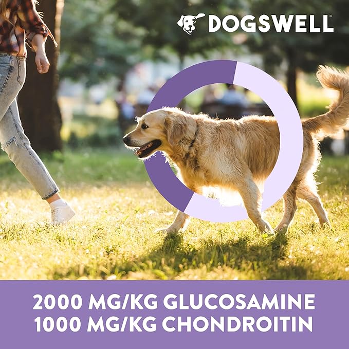 DOGSWELL Hip & Joint Dog Treats 100% Meaty, Grain Free, Glucosamine Chondroitin & Omega 3, Chicken Soft Strips 12 oz