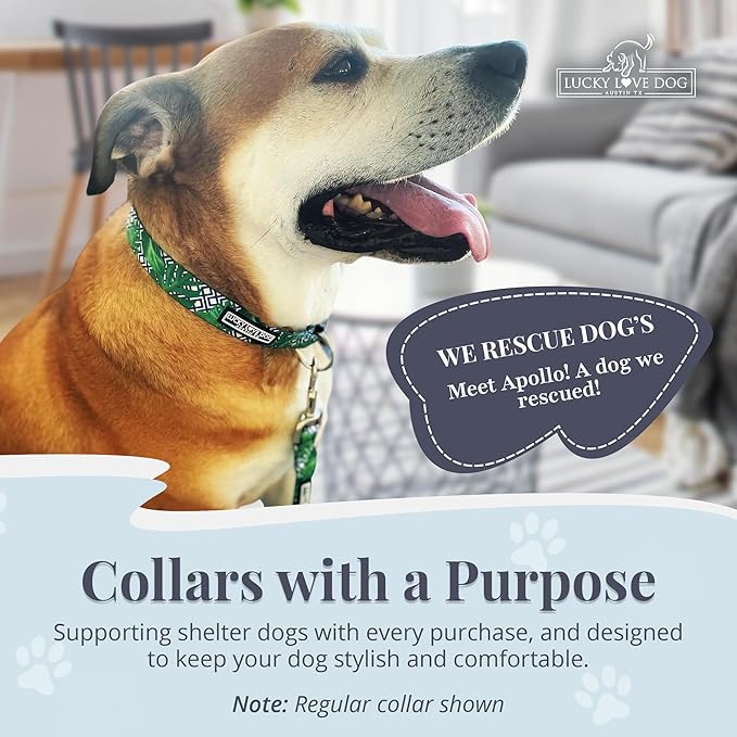 Lucky Love Dog Collar, Beautiful & Vivid Pattern Medium Boy Dog Collars, Easy On & Off Clasp Accessory (Blue Laguna, M)