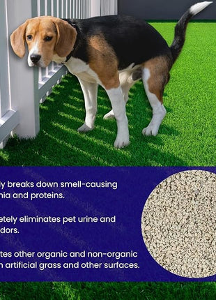 BioTurf Granular Turf Infill – Naturally Derived Turf Deodorizer for Pet Urine and Poop, Yard Odor Eliminator for Artificial Grass – Safe for Pets, Kids & Outdoor Use – 1 Gallon Pail