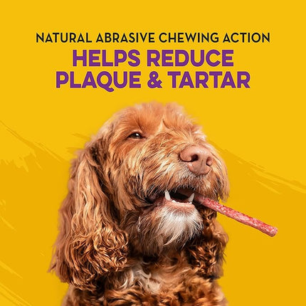 Dingo Rawhide Munchy Stix for Dogs, Rawhide Chews Made with Real Chicken, 50 Count