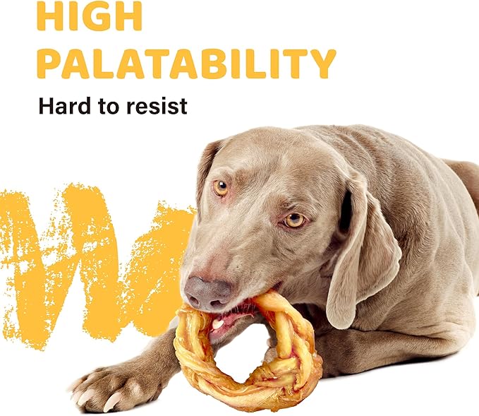 iPaw Turkey Tendons for Dogs 20 Pcs Bulk Pack, 100% Turkey and US Sourced Raw Material, Hypoallergenic, All Natural Human Grade Puppy Chew, Rawhide Alternative Dog Treats, Ring (Medium)