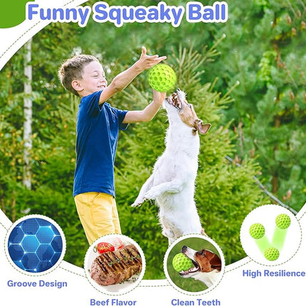 Interactive Squeaky Dog Balls Puppy Toys, Dog Toys for Small Dogs, Puppy Chew Toys for Teething and Relax, Dog Chew Toy Balls Small Dog Toys for Small Breed, Outdoor Dog Toys