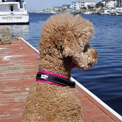 Black Rhino Dog Collars for Medium Dogs - Adjustable Reflective Heavy Duty Dog Collar with Ultra-Soft Neoprene Padding - Weatherproof, Durable, and Comfortable - Ideal for Active Dogs - Pink and Black