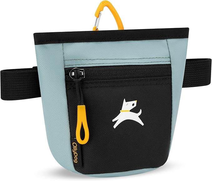 OllyDog Goodie Treat Bag, Dog Treat Pouch, Waist Belt Clip for Hands-Free Training, Magnetic Closure, Dog Training and Behavior Aids, Three Ways to Wear (St. Lucia)