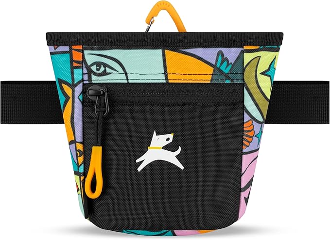 OllyDog Goodie Treat Bag, Dog Treat Pouch, Waist Belt Clip for Hands-Free Training, Magnetic Closure, Dog Training and Behavior Aids, Three Ways to Wear (Cloud9)