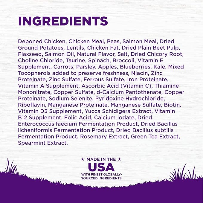 Wellness Complete Health Puppy Dry Dog Food, Grain Free, Natural, Chicken & Salmon Recipe, (24-Pound Bag)