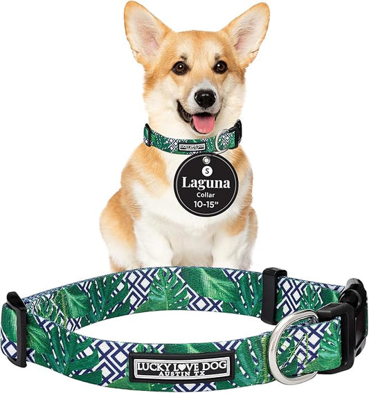Lucky Love Dog Collar, Beautiful & Vivid Pattern Small Boy Dog Collars, Easy On & Off Clasp Accessory (Blue Laguna, S)