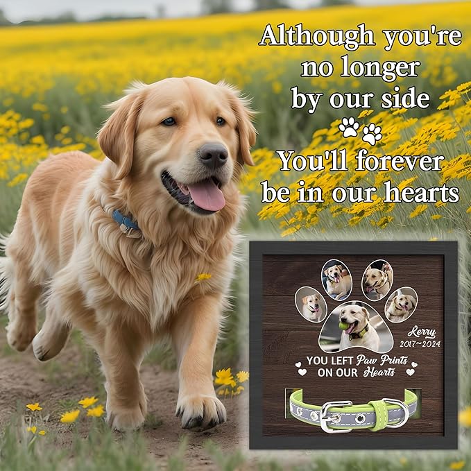 Personalized Pet Memorial Gifts for Dogs, Dog Memorial Gifts for Loss of Dog, Pet Remembrance Gift Dog, Custom Dog Memorial Collar Plaque, Pet Memorial Gifts Cat, Pet Memorial Picture Frame