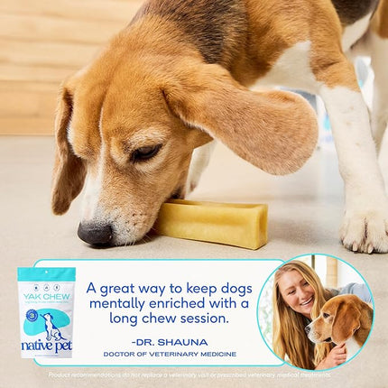 Native Pet Yak Cheese Himalayan Dog Chews - Long Lasting Dental Sticks for Large Breeds – 100% All Natural Himalayan Yak Chews for Large Dogs – Cheese Bone for Aggressive Chewers - 10 Per Pack