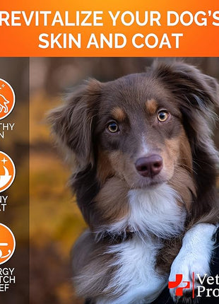 Omega 3 for Dogs - Skin and Coat Supplement - Fish Oil for Dogs Chews - Allergy and Itch Relief - Anti Shedding Supplement - Dry Skin Treatment - Salmon Oil - Made in USA - 120 Soft Treats