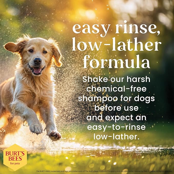 Burt's Bees for Pets Deodorizing Dog Shampoo with Witch Hazel, 95% Natural Origin Formulas, Dog Deodorizing Shampoo - Gentle for Smelly Dogs, 32 oz