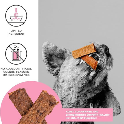 BIXBI Hip & Joint Support Salmon Jerky Dog Treats, 10 Oz - USA Made Grain Free Dog Treats - Glucosamine, Chondroitin For Dogs - High In Protein, Antioxidant Rich, Whole Food Nutrition, No Fillers