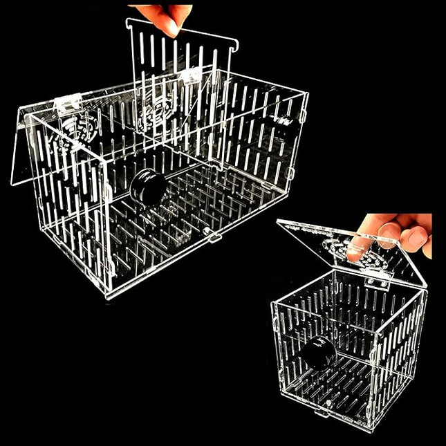 Small Magnetic Acclimation Breeder Box Anemone Coral Strong N52 Magnets for 1/2" Glass (4.5" Cube)