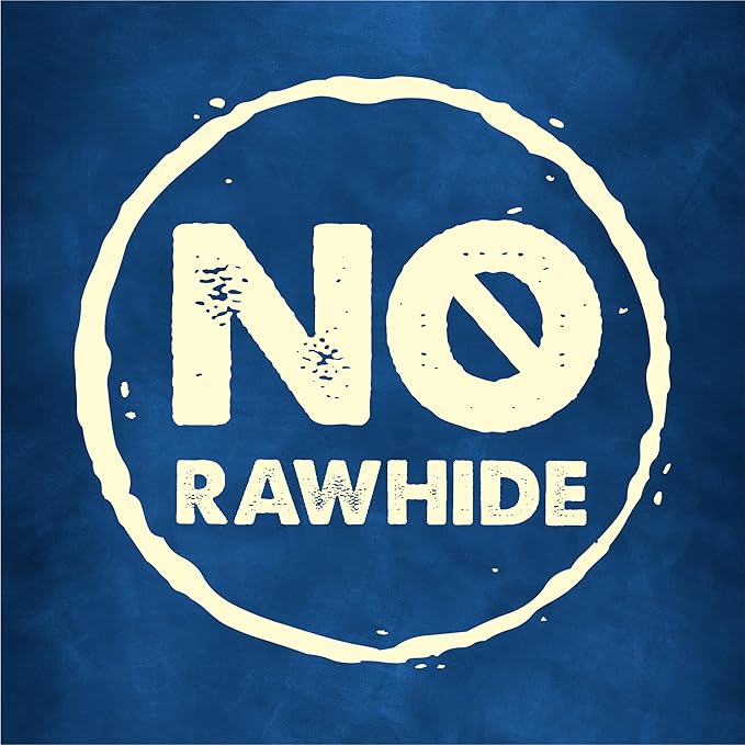 Purina Busy With Beggin' Dog Treats, Twist'd - 10 Count (Pack of 1)