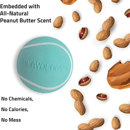 Playology Dog Toys | Squeaky Chew Ball - Bouncy Durable Floating Fetch Ball for Dogs | Medium Peanut Butter Scented Toy - Easy to Clean and Made from Non Toxic Materials