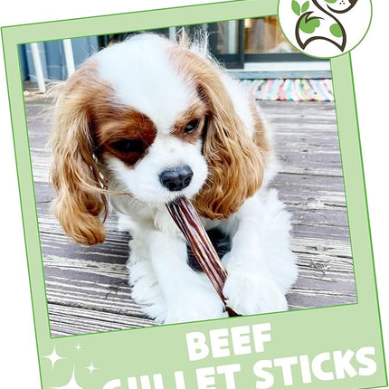 Nature Gnaws Beef Gullet Sticks for Dogs 5-6" (1Lb) - Natural Beef Jerky Stick Dog Chew Treats - Rawhide Free