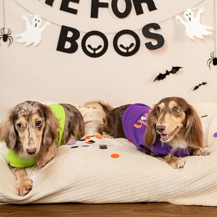 Fitwarm Halloween Spooky Season Dog Shirt, Funny Dog Clothes for Small Dogs Boy Girl, Holiday Doggy Tank Top, Pet Outfit, Purple, Orange, Medium