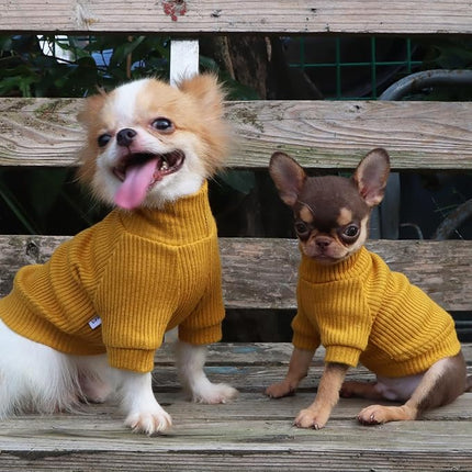 LOPHIPETS Small Dog Turtleneck Sweaters for Teacup Chihuahua Yorkie Puppy Cat Clothes-Yellow/XXS