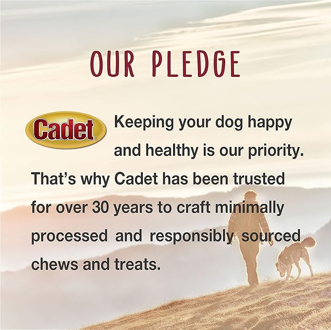 Cadet Bully Sticks for Large Dogs, All-Natural Beef Pizzle, Rawhide-Free Long-Lasting Dog Chews for Aggressive Chewers, Extra-Thick, 2 Count