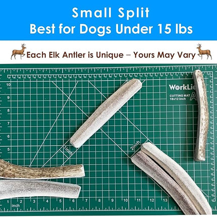 6-Pack Small Split Elk Antler Dog Chews (5 to 6.5+ in) – All Natural, Premium Grade A, Odor-Free, USA-Sourced – Long-Lasting Dental Treats for Toy and Small Dogs Under 15 lbs