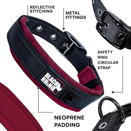Black Rhino - The Comfort Collar Ultra Soft Neoprene Padded Dog Collar for All Breeds - Heavy Duty Adjustable Reflective Weatherproof (XLarge, Burgundy/Bl)
