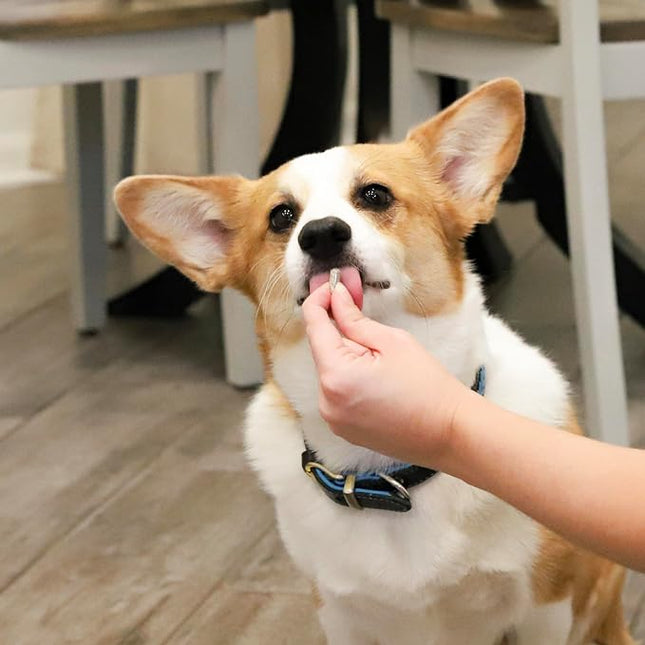 Ark Naturals Gentle Digest Capsules, Vet Recommended Prebiotics and Probiotics to Support Intestinal Balance and Immune System Health in Dogs and Cats, Natural Ingredients, 60 Count