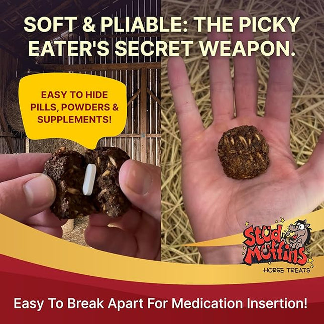 Stud Muffins 5.8lb Horse Treats Bag/Stud Muffins are Great Training Treats and Horse Pill Pockets/Our Treats for Horses are All Natural Horse Treats/Durable 5.8lb Horse Treats Bulk Pack