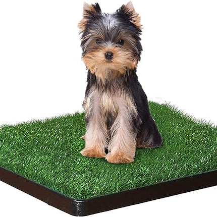 Four Paws Wee-Wee Premium Patch Indoor and Outdoor Pet Potty for Dogs l Dog Potty Training l Artificial Grass l Wee-Wee Patch