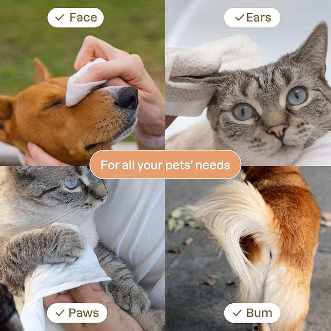 ATTITUDE Pet Wipes for Dogs & Cats, 99% Water, EWG Verified, Gentle & Unscented Cleaning Wipes for Paws, Ears, Face & Body, Deodorizing, Safe for Puppies & Kittens, 72 count