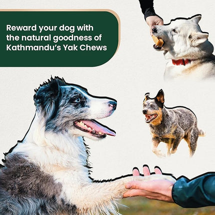 Authentic Himalayan Yak Cheese for Dogs - XLarge (Pack of 6) - Sourced from Pristine Himalayan Foothill, Rawhide-Free, NO preservatives