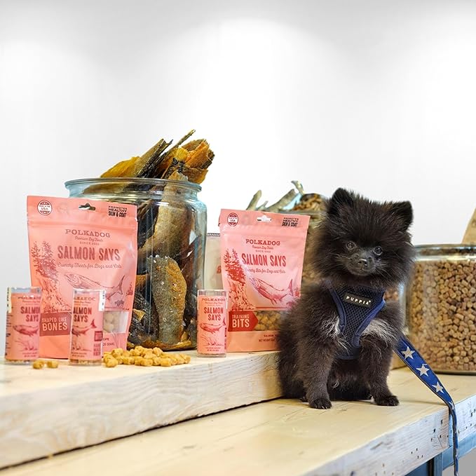 Polkadog Salmon Says Training Bits - Omega-3 Rich, Low Fat Healthy Dog Treat - Digestible, Vitamin & Mineral Packed Dog Snacks - Crunchy 3-Ingredient Treat, Ideal for Dogs with Allergies - 7oz