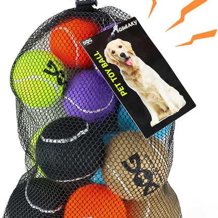Squeaky Tennis Balls for Dogs - 12 Pack 2.5'' Durable Non-Toxic Outdoor Dog Toys Balls with Mesh Bag, SGS Certified, Colorful Fetch Toys, Medium Large Breeds