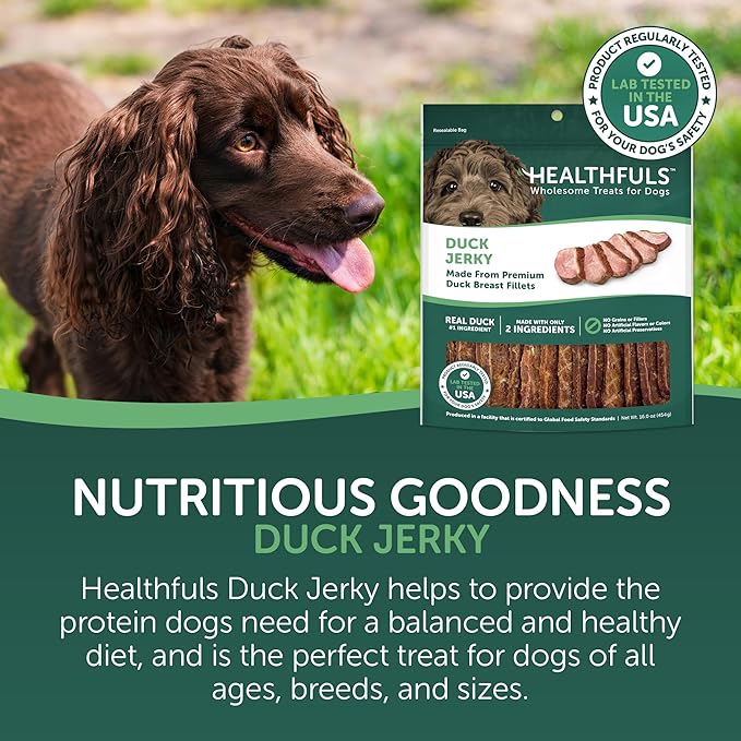 westminster pet products 08222 Wag N Tails, LB, Ducky Jerky, Dog Treat