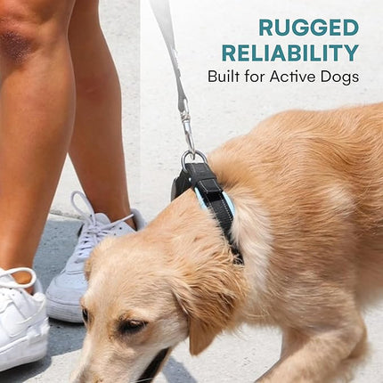 Black Rhino Dog Collar for Large Dogs - Adjustable Reflective Heavy Duty Collar with Ultra-Soft Neoprene Padding - Weatherproof, Durable, and Comfortable - Ideal for Active Dogs - Aqua and Gray