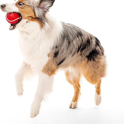 Playology Dog Toys | Squeaky Chew Ball - Bouncy Durable Floating Fetch Ball for Dogs | Jumbo Beef Scented Toy - Easy to Clean and Made from Non Toxic Materials