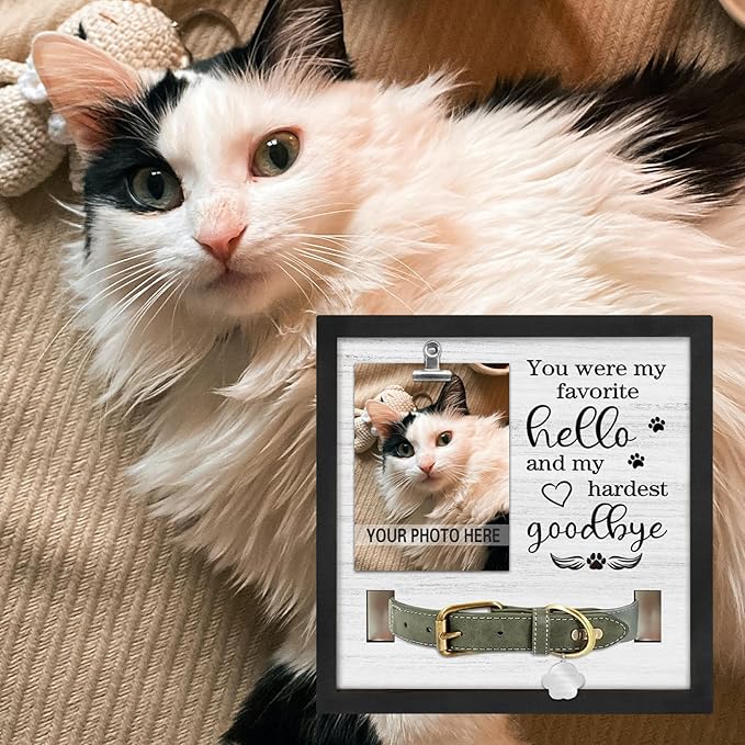 Dog Memorial Gifts for Loss of Dog, Loss of Dogs Sympathy Gift Pet Loss Sympathy Frame with Collar Holder, Pet Cat Remembrance Bereavement Gift