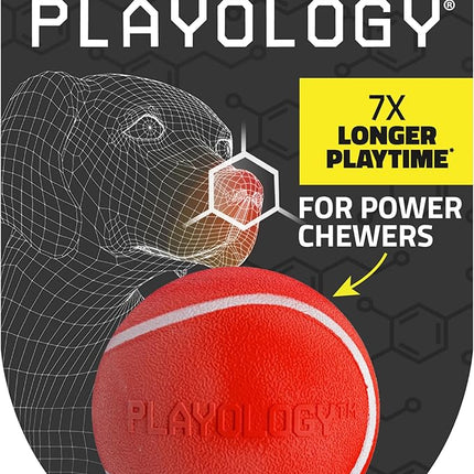Playology Dog Toys | Squeaky Chew Ball - Bouncy Durable Floating Fetch Ball for Dogs | Medium Beef Scented Toy - Easy to Clean and Made from Non Toxic Materials