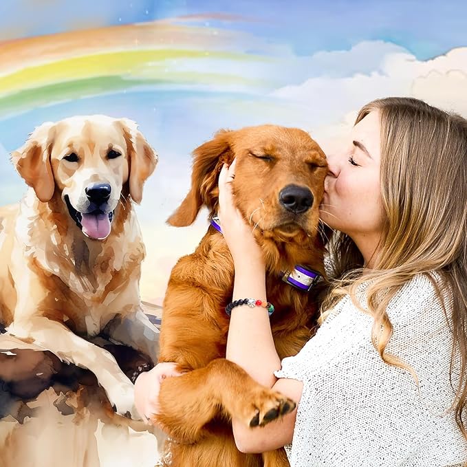 Pet Memorial Bracelet - Rainbow Bridge Memorial for Women & Men, Sympathy Gift for Loss of Dog or Cat