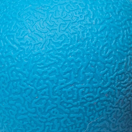 Amazon Basics Dog Toys, Interactive Fetch Rubber Balls, (Pack of 2), 3 inch, Blue, Orange