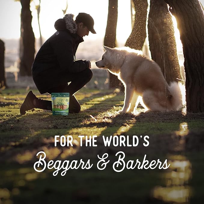 Beg & Barker Chicken Jerky for Dogs (4 Ounce, Pack of 1) - Dog Training Treats - Natural Dog Treats Made in The USA - Grain Free, Diabetic-Friendly, High Protein, Sugar-Free