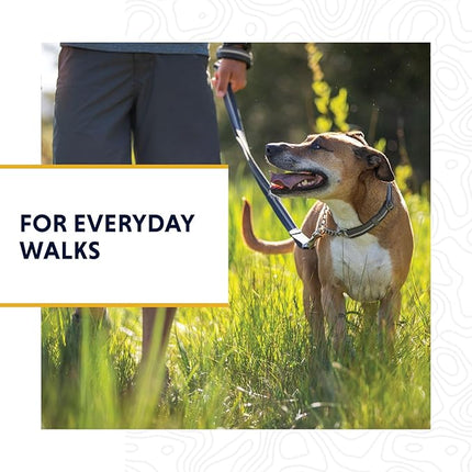 Ruffwear, Chain Reaction Dog Collar, Adjustable Reflective Martingale Escape-Proof Collar with Stainless Steel Chain, Professional Training Control, River Rock Green, 20"-26"