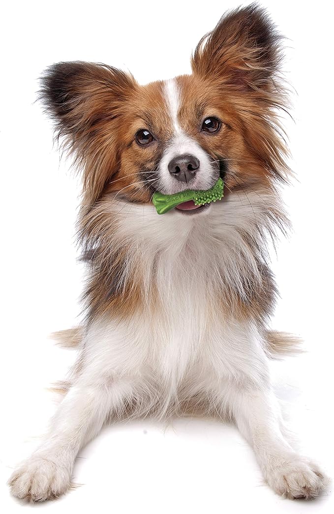 Nylabone Nutri Dent Natural Dental Chews for Dogs, Limited Ingredient Dog Treats Made in the USA, Clean Teeth & Fresh Breath, Healthy Dog Chews, Fresh Breath Flavor, For X-Small Dogs, (78 Count)