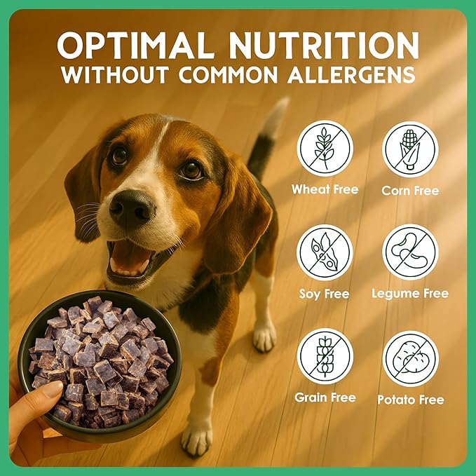 Farmland Traditions The Good List Air-Dried Dog Food, Premium Beef & Bone Broth for Dogs, Protein Rich & Grain-Free Nutrition, 2.2 Pound Bag