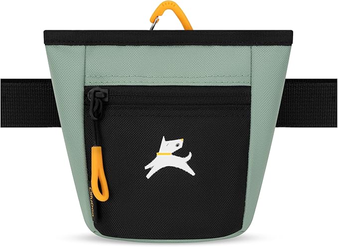 OllyDog Goodie Treat Bag, Dog Treat Pouch, Waist Belt Clip for Hands-Free Training, Magnetic Closure, Dog Training and Behavior Aids, Three Ways to Wear (Iceberg Green)