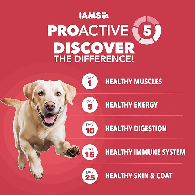 IAMS Proactive Health Large Breed Adult Dry Dog Food Lamb & Rice Recipe, 40 lb. Bag