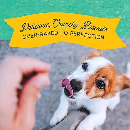 Natural Balance Limited Ingredient Rewards Crunchy Biscuits, Bite-Size Treats for Small-Breed Dogs, Made with Real Chicken, 8 Ounce (Pack of 1)